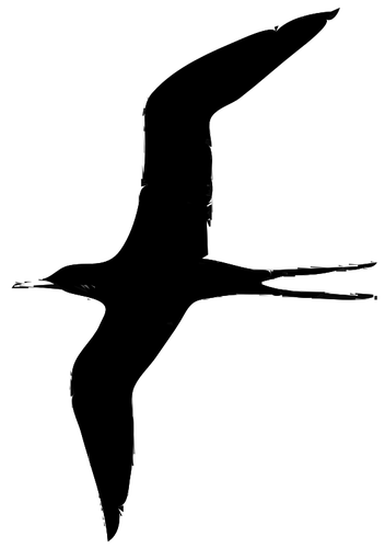 Frigate bird vectorillustratie
